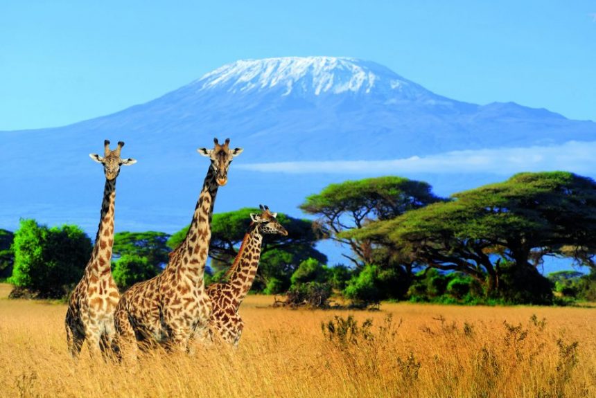 Ecotourism hotspots in Tanzania include wildlife safari National parks and Kilimanjaro trails Lemosho Ecotourism hotspots in Tanzania include wildlife safari National parks and Kilimanjaro trails Lemosho